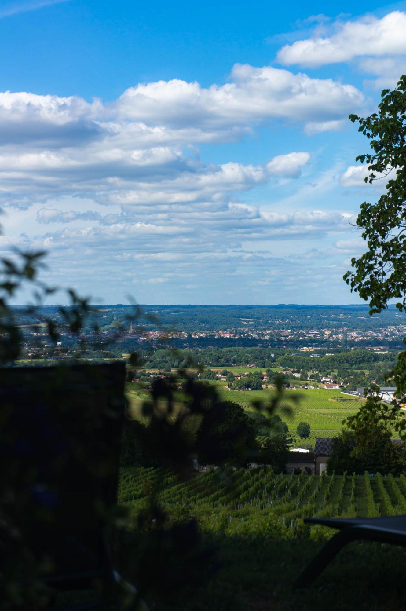 Bed and Breakfast Le Domaine De La Tour Des Vents Bergerac Exterior foto